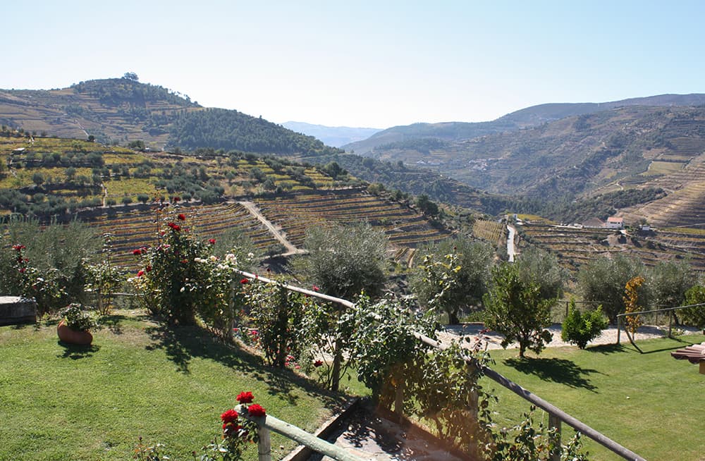 Hotel Quinta do Silval foto 3
