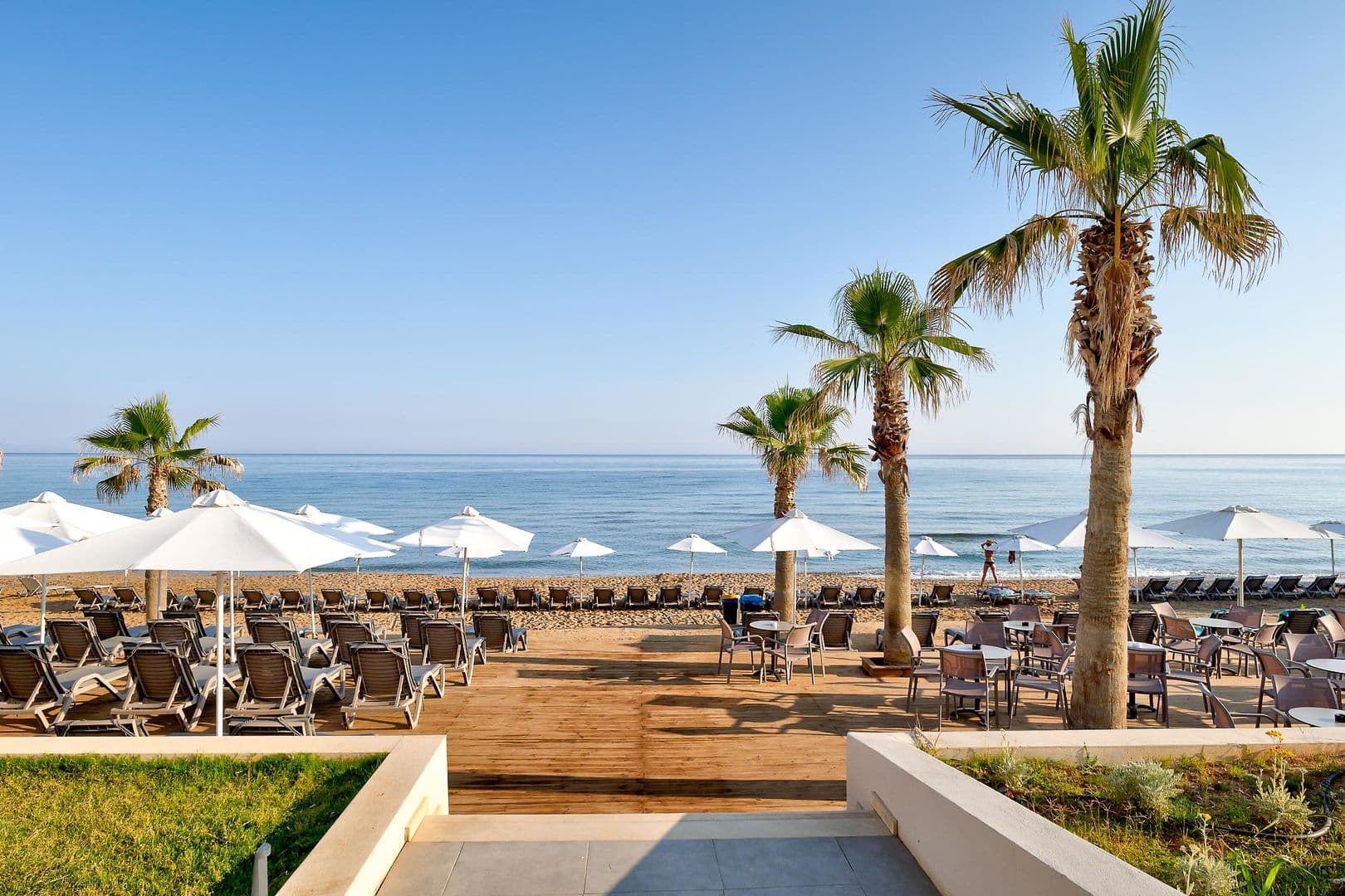 White Olive Elite Rethymno foto 4
