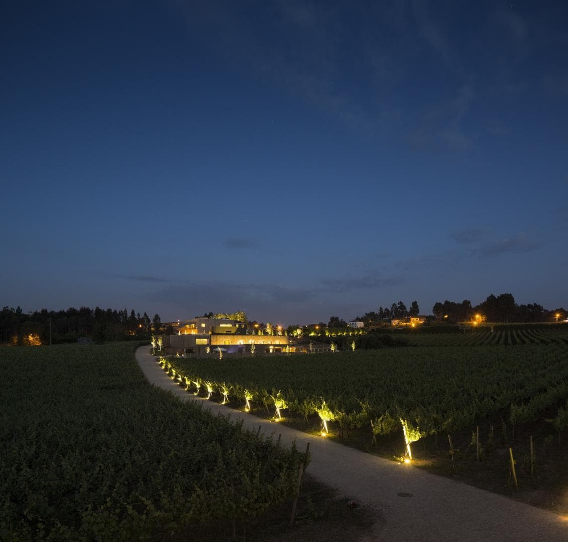 Monverde - Wine Experience Hotel foto 4