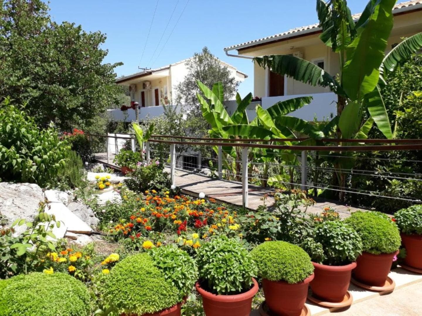 La Casa di Nonna foto 4