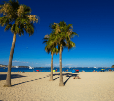 Palma Nova vacation photos