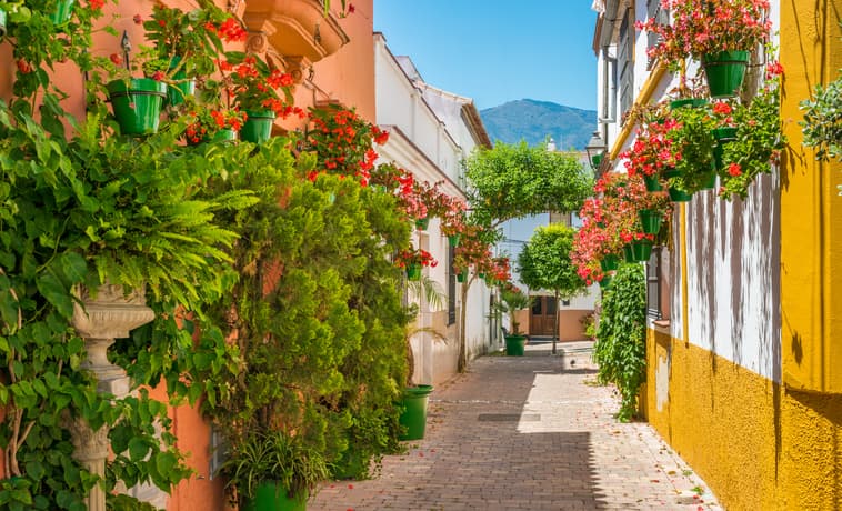 Estepona vacation photos